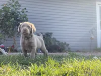 processed/dde15e02-4624-4325-a8df-898f54b94849/facility/f9a77700-42db-402f-8274-1b56f185fe8a