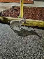 processed/ddecc61a-8dd2-4dc0-a555-7483d202a8fb/listing/4170077d-aee0-46fc-926b-b1a0fb9b8bb0/4bda0727-3d90-4c73-b252-8e9e74f91f83