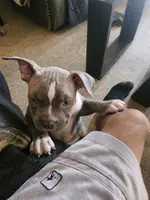 processed/ddecc61a-8dd2-4dc0-a555-7483d202a8fb/listing/4170077d-aee0-46fc-926b-b1a0fb9b8bb0/69751a51-41dc-4d02-8632-526fdc45b181