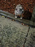 processed/ddecc61a-8dd2-4dc0-a555-7483d202a8fb/listing/4170077d-aee0-46fc-926b-b1a0fb9b8bb0/9225fd48-072a-4598-b3ef-7d6b752f9418