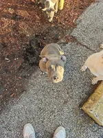 processed/ddecc61a-8dd2-4dc0-a555-7483d202a8fb/listing/4d815a66-20b5-4d7c-a250-e576c460aa6c/38e4dc42-4520-4527-9508-62d138f253f9