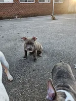 processed/ddecc61a-8dd2-4dc0-a555-7483d202a8fb/listing/4d815a66-20b5-4d7c-a250-e576c460aa6c/3e690e49-074a-4aaf-90dd-926ab170154a