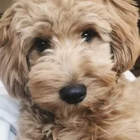 processed/de037ca4-556c-441b-89a2-f60970b558cd/facility/c5a2579c-760b-4067-9e4a-37cc58d89b03