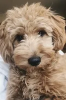 processed/de037ca4-556c-441b-89a2-f60970b558cd/facility/c5a2579c-760b-4067-9e4a-37cc58d89b03