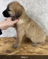 processed/de0724f1-0eb3-400f-92b3-2a109f19c44c/listing/0d56117e-a2cf-4e26-adee-986e506d90e4/25ac366c-8f33-4d7e-b962-cca403eb47de