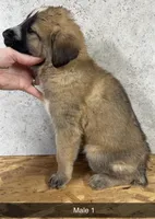 processed/de0724f1-0eb3-400f-92b3-2a109f19c44c/listing/20ea0d4c-c14d-4665-8e10-8453401738c2/cdd7f266-ef59-4654-ba3b-5b009a8317b8