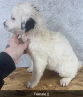 processed/de0724f1-0eb3-400f-92b3-2a109f19c44c/listing/2ebead2a-1f06-4129-bf01-667321a97081/634fc336-281d-467c-935c-dd3473e0ffb2