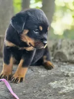 processed/de0724f1-0eb3-400f-92b3-2a109f19c44c/listing/2f1ddfd1-7ccf-41c5-8701-9f9494261e31/76a7e2aa-fdd2-4b1e-b2a3-ffd55b2a19f8