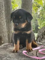 processed/de0724f1-0eb3-400f-92b3-2a109f19c44c/listing/2f1ddfd1-7ccf-41c5-8701-9f9494261e31/a85b6b2b-5829-4605-a3dd-6b7200cdc5b3