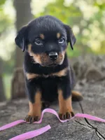 processed/de0724f1-0eb3-400f-92b3-2a109f19c44c/listing/2f1ddfd1-7ccf-41c5-8701-9f9494261e31/f0b37800-cf1b-4da4-b633-9dd2f1bcb6cc