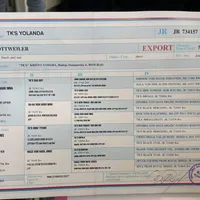 TKs Yolanda, a female Rottweiler for sale in Industry, IL – Photo 5 of 10