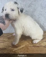 processed/de0724f1-0eb3-400f-92b3-2a109f19c44c/listing/ba97c08a-1b6d-485b-aefb-fd895c9adb95/4208663b-5f96-450e-b2e7-22f1f0a414dd