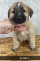 processed/de0724f1-0eb3-400f-92b3-2a109f19c44c/listing/d59d3f76-0619-4189-9f8e-38fedce5fa49/af83b5ce-7acf-468a-b926-1ff556818fc1