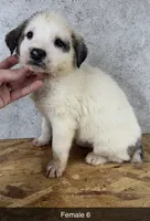 processed/de0724f1-0eb3-400f-92b3-2a109f19c44c/listing/eb7a75d0-084c-4742-859f-34a1a5f7df18/7f567723-8808-44f3-8005-9d8e5e758819