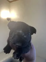 processed/de07b998-3d08-4300-9749-fa375507535f/listing/3186bdaf-73f3-486a-abda-20507824e65f/13c1c9f5-cd1d-47c4-89e7-e22217dcb3c3