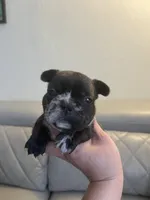 processed/de07b998-3d08-4300-9749-fa375507535f/listing/3186bdaf-73f3-486a-abda-20507824e65f/455079f6-7cfa-4896-817c-b01bceaeb458