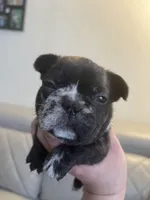 processed/de07b998-3d08-4300-9749-fa375507535f/listing/3186bdaf-73f3-486a-abda-20507824e65f/46866452-67b3-44b2-b3d7-ef55529f5e32