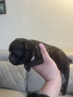 processed/de07b998-3d08-4300-9749-fa375507535f/listing/3186bdaf-73f3-486a-abda-20507824e65f/b82691c9-fffe-40ec-b01d-0c3554d83ee8