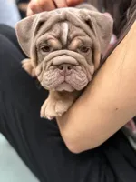 processed/de07b998-3d08-4300-9749-fa375507535f/listing/7864ff56-6109-4270-8a67-29f7a3456141/134056a7-1d4e-4a38-9952-503237c38cda