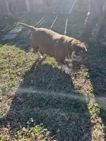 processed/de07b998-3d08-4300-9749-fa375507535f/listing/a3fb5a28-4423-402d-bcaf-9bb15f75af9a/266a200f-4a8f-4418-8e67-d698a04436fb