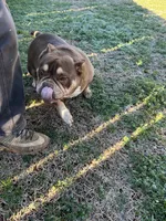 processed/de07b998-3d08-4300-9749-fa375507535f/listing/a3fb5a28-4423-402d-bcaf-9bb15f75af9a/61f181c1-6411-4992-885f-65d36e7c6990