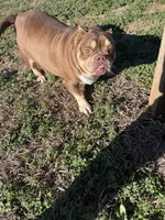 processed/de07b998-3d08-4300-9749-fa375507535f/listing/a3fb5a28-4423-402d-bcaf-9bb15f75af9a/6b0848d2-1f3c-4acf-9752-b572632ab1a9