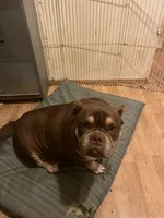 processed/de07b998-3d08-4300-9749-fa375507535f/listing/a3fb5a28-4423-402d-bcaf-9bb15f75af9a/7cd7f362-5506-4ba1-9b71-63bbde750176