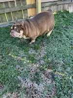 processed/de07b998-3d08-4300-9749-fa375507535f/listing/a3fb5a28-4423-402d-bcaf-9bb15f75af9a/dbc8beb0-f723-4aba-8d37-204637e73d0d