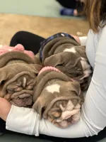 processed/de07b998-3d08-4300-9749-fa375507535f/listing/cb03664b-e57c-435c-929f-3df08d7fe0a9/2342837d-63b6-4017-b805-f1a7f16f08bc