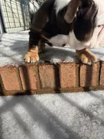 processed/de07b998-3d08-4300-9749-fa375507535f/listing/cb03664b-e57c-435c-929f-3df08d7fe0a9/38d982c1-7f8e-4f0d-bdac-50f7947accbc