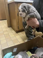 processed/de07b998-3d08-4300-9749-fa375507535f/listing/cb03664b-e57c-435c-929f-3df08d7fe0a9/74345d5c-eb83-4342-b5fb-76db3206fa0e