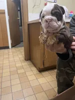 processed/de07b998-3d08-4300-9749-fa375507535f/listing/cb03664b-e57c-435c-929f-3df08d7fe0a9/99b41b0c-3807-4a6f-b2e4-94c6c1d7122f