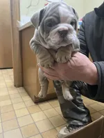 processed/de07b998-3d08-4300-9749-fa375507535f/listing/cb03664b-e57c-435c-929f-3df08d7fe0a9/b593d68e-e12d-4d66-812d-a6baab785e68