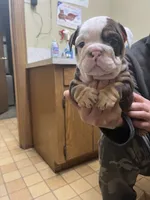 processed/de07b998-3d08-4300-9749-fa375507535f/listing/cb03664b-e57c-435c-929f-3df08d7fe0a9/cf29e0f5-a4aa-4601-a8cf-6af44025ba8b