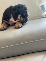 processed/de07b998-3d08-4300-9749-fa375507535f/listing/d640b4c5-1a15-4575-accc-1bc459272dfc/13149c21-402e-43a3-9d56-7176a483d9db