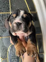 processed/de07b998-3d08-4300-9749-fa375507535f/listing/d640b4c5-1a15-4575-accc-1bc459272dfc/814fd7f7-ac7a-4354-9280-5fe63c65c1e1