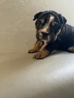 processed/de07b998-3d08-4300-9749-fa375507535f/listing/d640b4c5-1a15-4575-accc-1bc459272dfc/9e580fcd-8b93-4c99-8639-6bc6a48cccd0