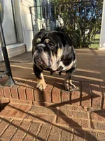 processed/de07b998-3d08-4300-9749-fa375507535f/listing/d640b4c5-1a15-4575-accc-1bc459272dfc/cee1ce88-9e5a-4565-add9-2e6ddc139375