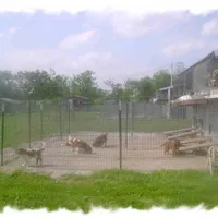 processed/de07ef36-403f-44cd-bf50-5602f69c4a07/facility/6da5c7bc-b83f-46cd-963e-b376cca0040e