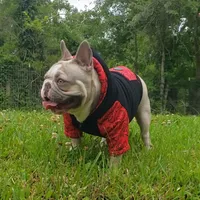 processed/de18936e-65b9-4d17-b1f0-9504beba120b/facility/d0567e49-59d5-456b-8c09-beb43c7a095e