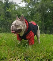 processed/de18936e-65b9-4d17-b1f0-9504beba120b/facility/d0567e49-59d5-456b-8c09-beb43c7a095e