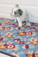 Pebbles, a female Border Collie for sale in Wilmington, NC – Photo 6 of 6