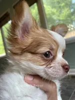 processed/de2221eb-c2f2-4d87-ac6e-462b9ac4126a/facility/4a1fc407-167c-41f6-997d-66dd7754032b