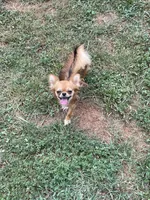 processed/de2221eb-c2f2-4d87-ac6e-462b9ac4126a/facility/75199c0a-0f45-4676-896a-3246e6a90313