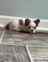 processed/de2221eb-c2f2-4d87-ac6e-462b9ac4126a/facility/9809a741-13f6-4faa-831c-85798a1c2c5b