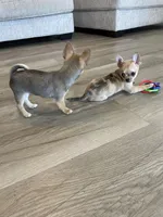 processed/de2221eb-c2f2-4d87-ac6e-462b9ac4126a/facility/9b92da78-0b20-4b84-ac54-fae20e021be4