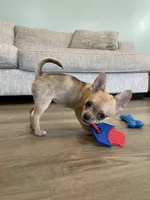 processed/de2221eb-c2f2-4d87-ac6e-462b9ac4126a/facility/c09b2c45-09c1-43b7-945e-9a0693145fe4