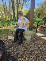 Matilda, a female Miniature Goldendoodle for sale in West Brookfield, MA – 3 of 3
