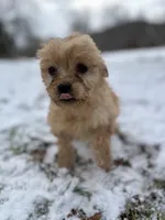 processed/de2e54da-3bb7-4e13-ac9f-4796cc0be45b/listing/4ee0dee9-463e-4ed4-ab3e-648d6e21078a/01b71cc8-82b6-418e-9726-0f142689d170