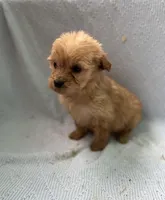 processed/de2e54da-3bb7-4e13-ac9f-4796cc0be45b/listing/4ee0dee9-463e-4ed4-ab3e-648d6e21078a/0230bc4f-a8d9-4810-9274-6438bd9dc2c0